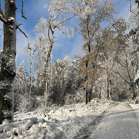 Haus Astenblick In Winterberg Fuer Bis Zu 35 Personen Fuer Wanderveranstaltungen Und Familienfeiern Exterior photo