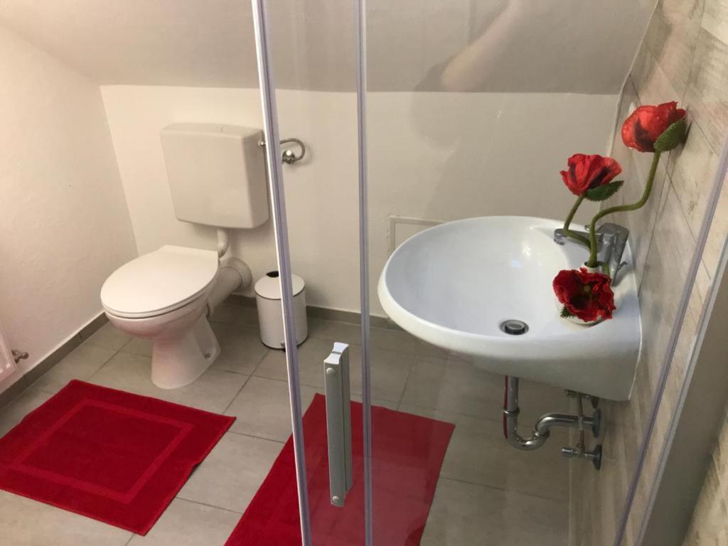 Haus Astenblick In Winterberg Fuer Bis Zu 35 Personen Fuer Wanderveranstaltungen Und Familienfeiern Exterior photo