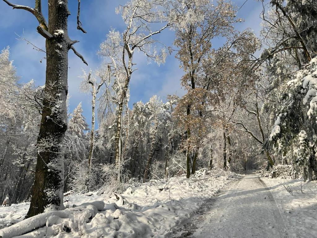 Haus Astenblick In Winterberg Fuer Bis Zu 35 Personen Fuer Wanderveranstaltungen Und Familienfeiern Exterior photo