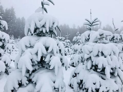 Haus Astenblick In Winterberg Fuer Bis Zu 35 Personen Fuer Wanderveranstaltungen Und Familienfeiern Exterior photo